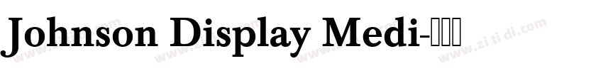 Johnson Display Medi字体转换